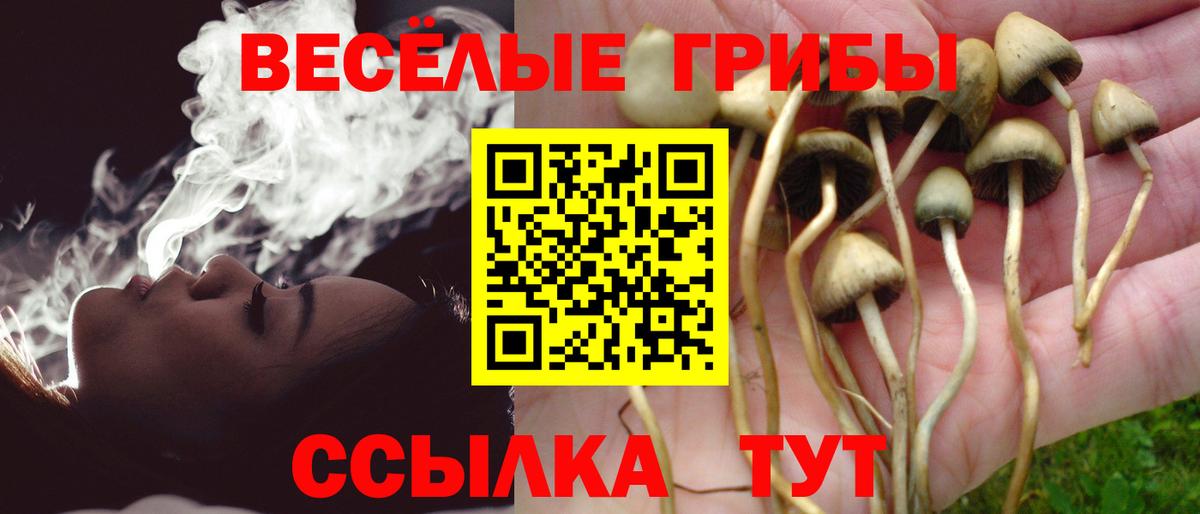 Псилоцибиновые грибы Cubensis  Галлюциногенные грибы мухоморы  где можно купить наркотик  Усть-Кут  Вход с VPN 